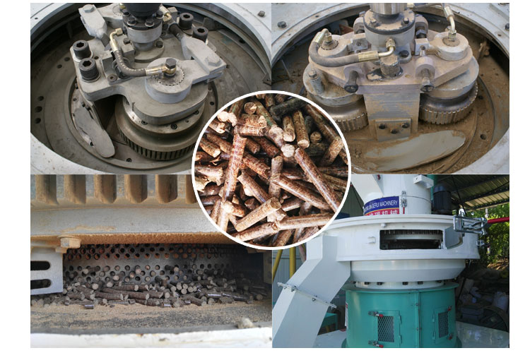 内部结构及颗；；；；；；