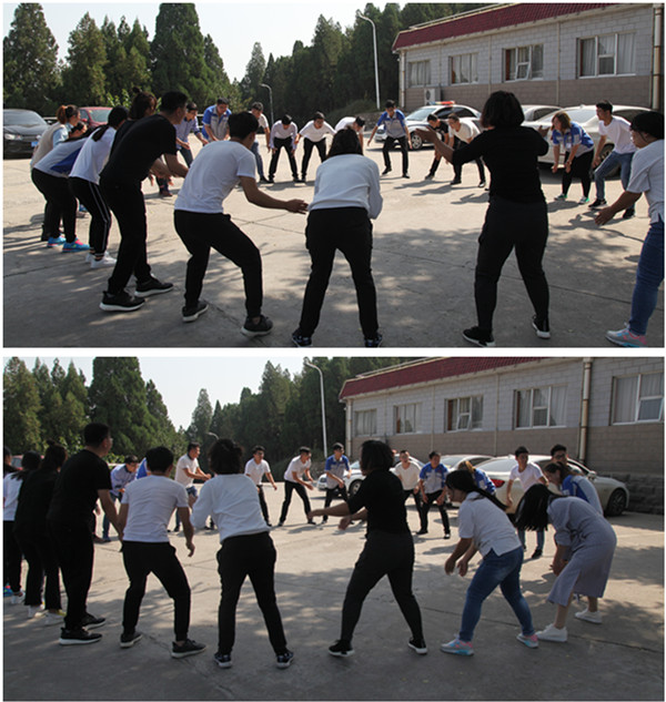 让你的想象酿成现实，，，，，让你的头脑变为行动