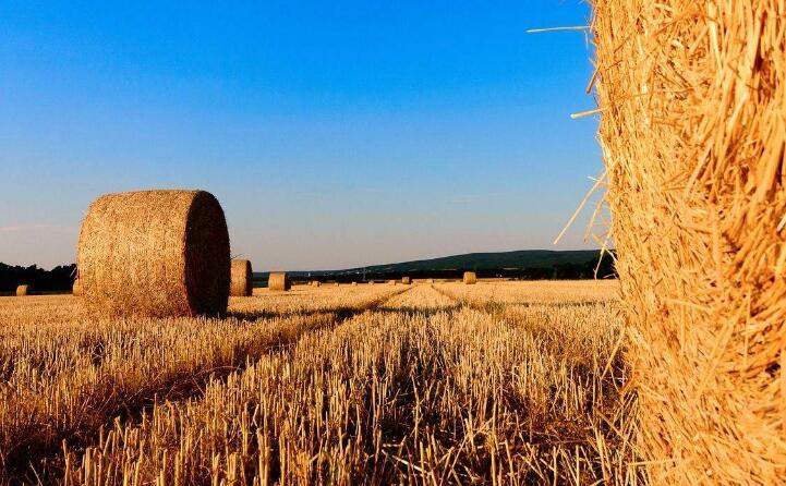 颗；；；；2019秸秆综合使用