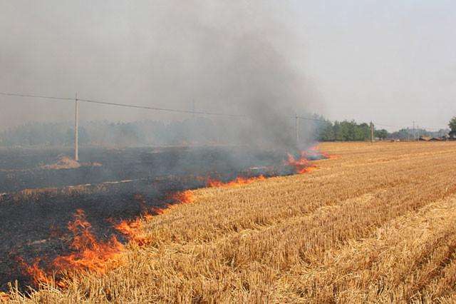 生物质颗；；；；；；