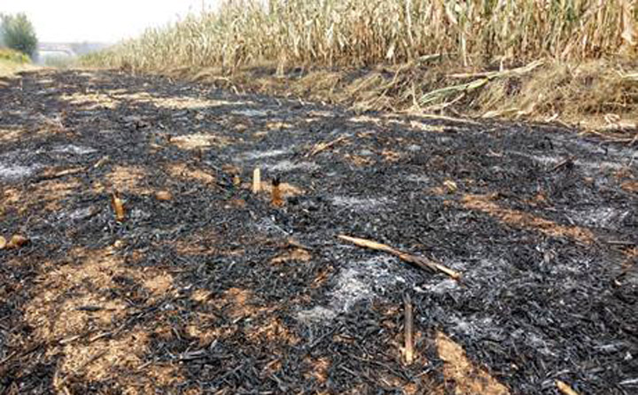 生物质颗粒；；；；；