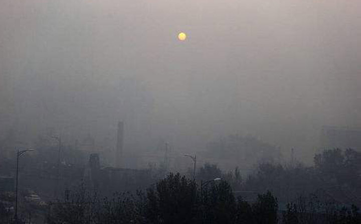 生物质颗粒；；；；；；