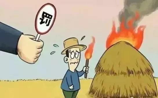 生物质颗；；；；；；；