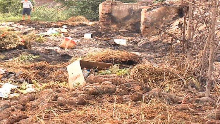 生物质颗；；；；