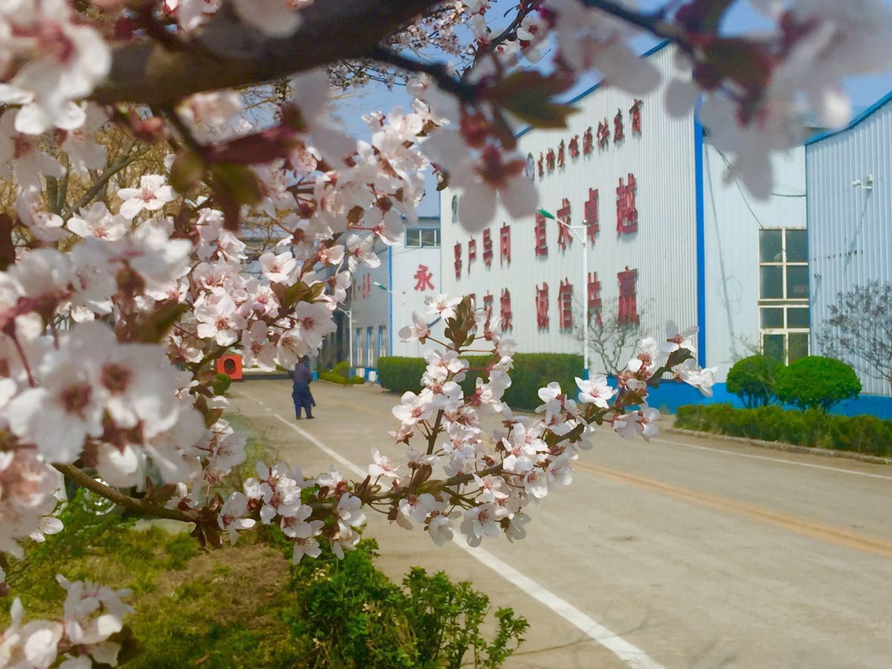 生物质颗；；；；；；；