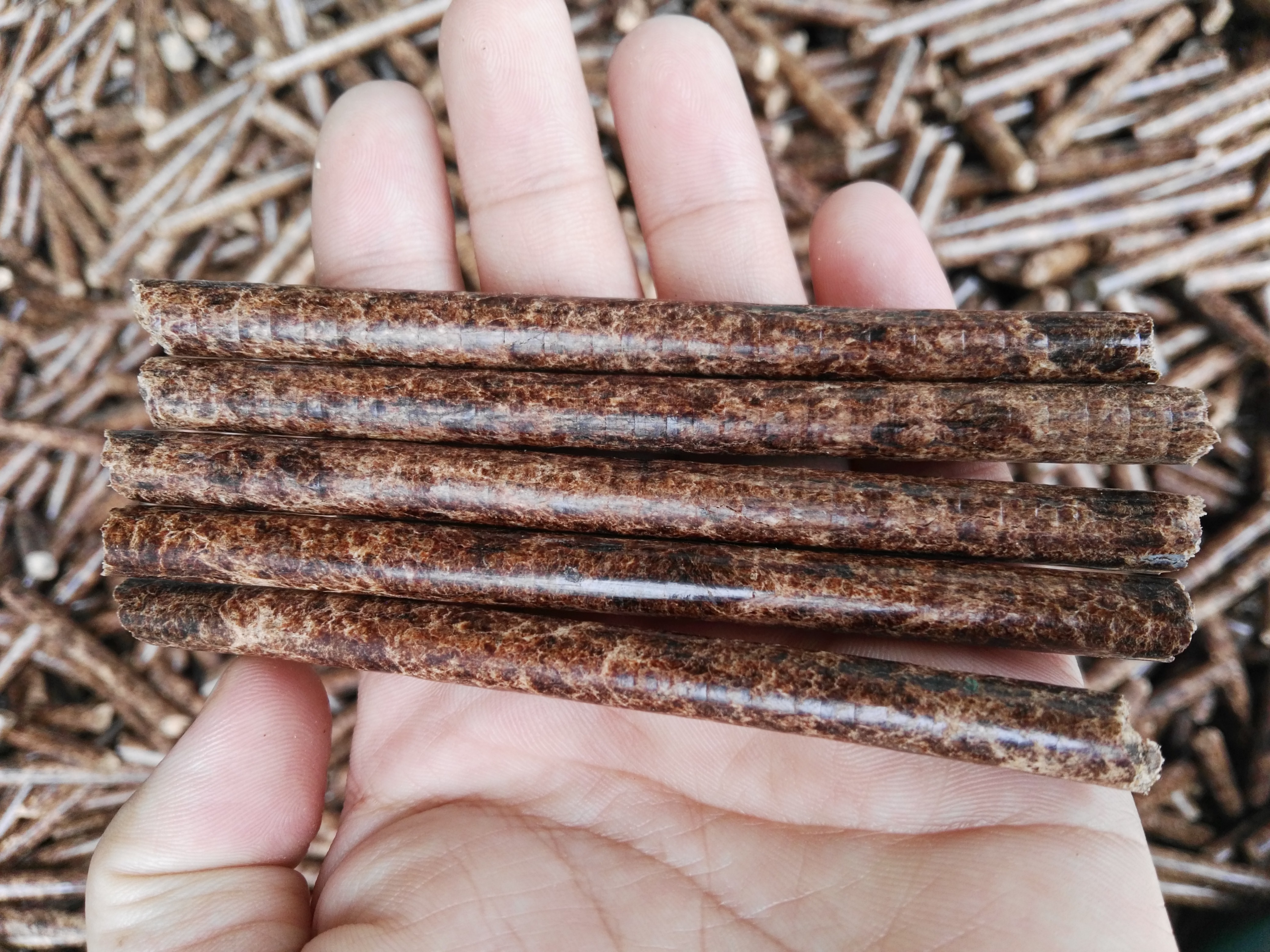 生物质颗；；；；