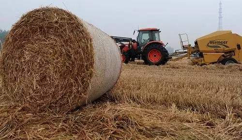 生物质颗粒；；；；；；；