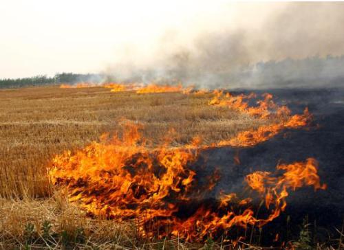 生物质颗粒；；；