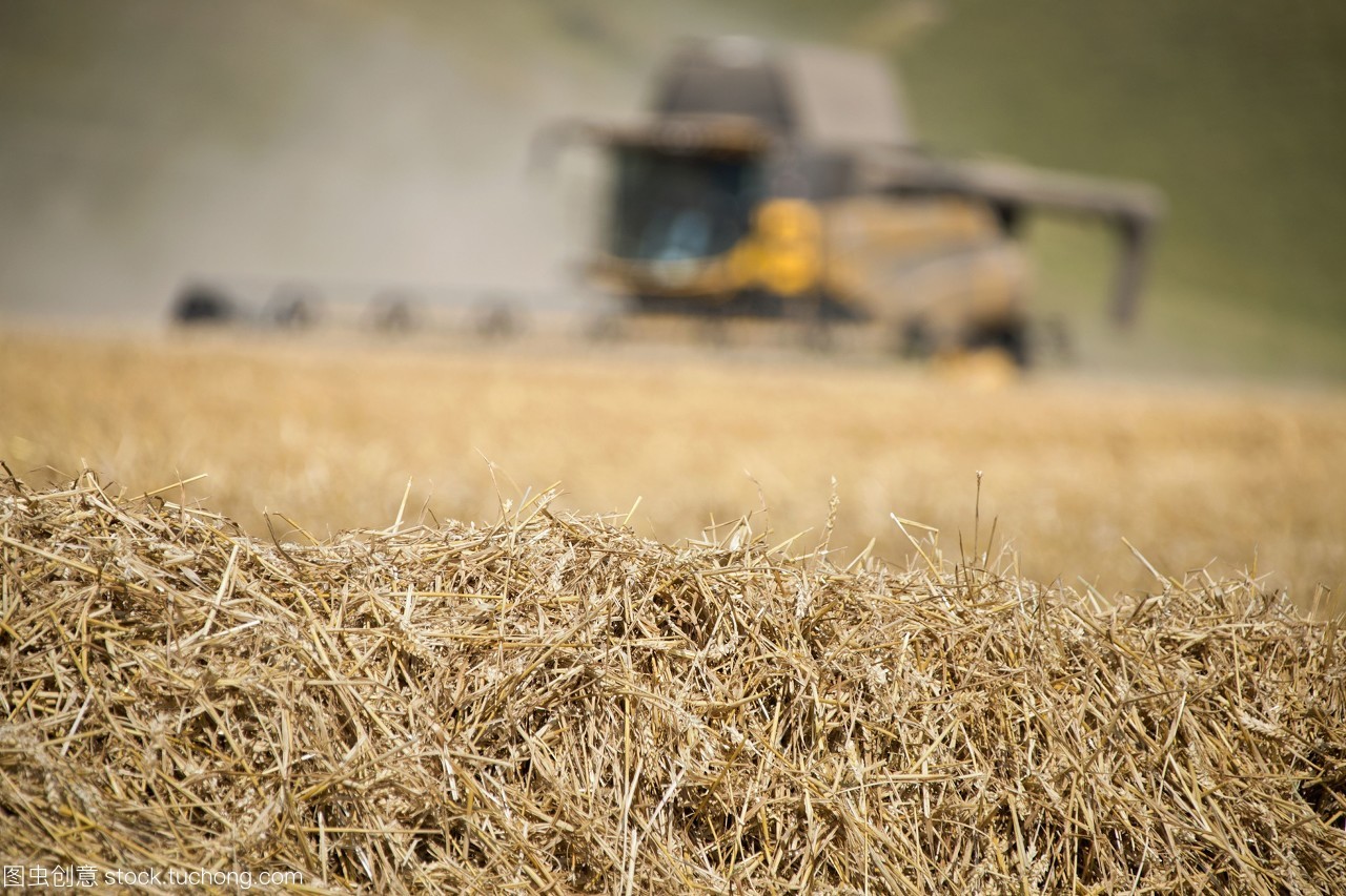 生物质颗粒；；；