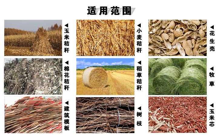 生物质颗；；；；；