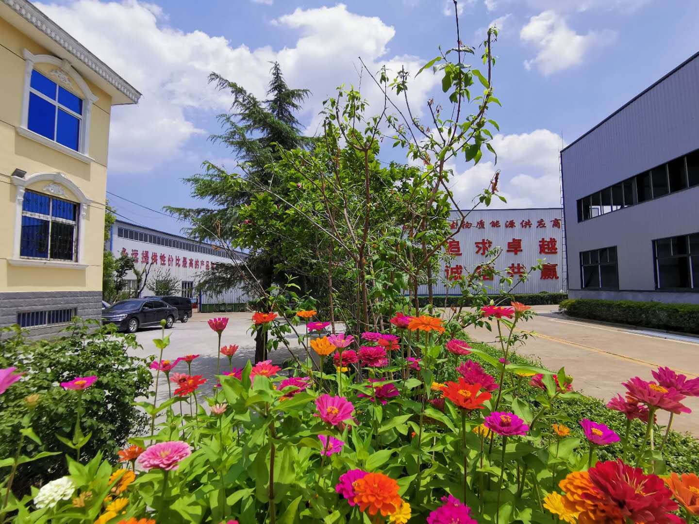 山东木屑颗；；；；；；Ъ