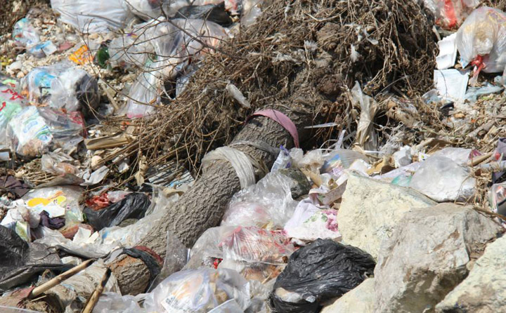 生物质颗粒唬唬机械