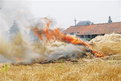 生物质颗；；；