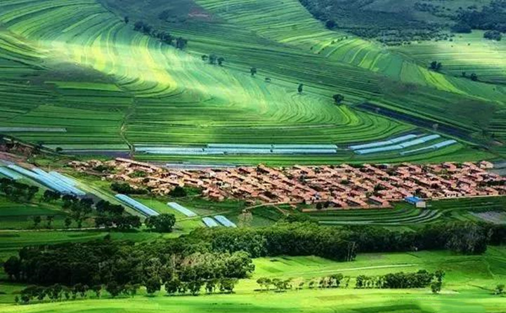 克日，，，，，，，，甘谷县农业农村项目建设效劳中心全体干部来到大石镇李湾村开展我为群众办实事活动