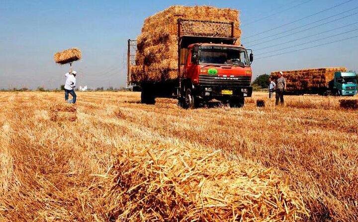 一台台秸秆打捆机正在田地里作业，，，，一大片散落在地里的葵花、玉米秸秆被打包成一个个方块