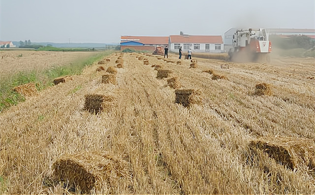 生物质作为一种含碳、固体形态的可再生能源，，，，，，，其热转化使用手艺、装备与煤炭具有相似性，，，，，，，且生物质氮、硫含量低，，，，，，，污染物排放要远低于燃煤。。。。。。因此，，，，，，，鼎力大举生长生物质燃料锅炉将有助于缓解燃煤带来的情形污染问题