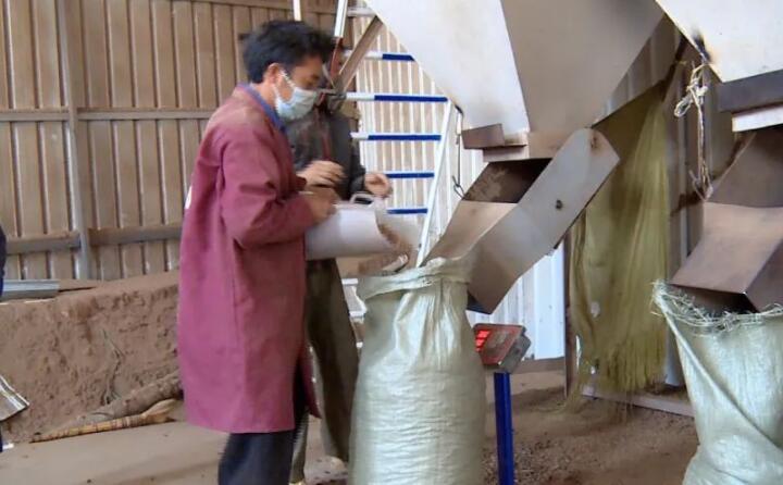 生物质颗粒它主要的生产因素，，，，，，是拿农户的秸秆、菊花杆和这些玉米骨头、修建红板、尚有烤烟杆这些，，，，，，颗；；；；；怪疲ê螅┥隼吹