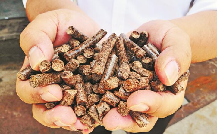 生物质颗粒；；；；；锬茉聪钅