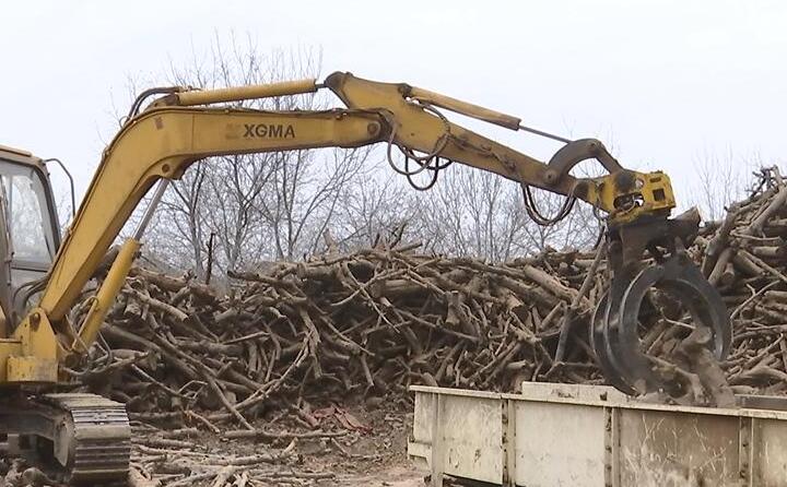 抓木机正在将一根根木料放入传送带，，，陪同着霹雳隆的机械声，，，木料被削片、破损、烘干、颗；；；；；；；；屏！⒗淙矗，直到酿成千家万户暖炉里的新能源质料——生物质颗粒。。。。。