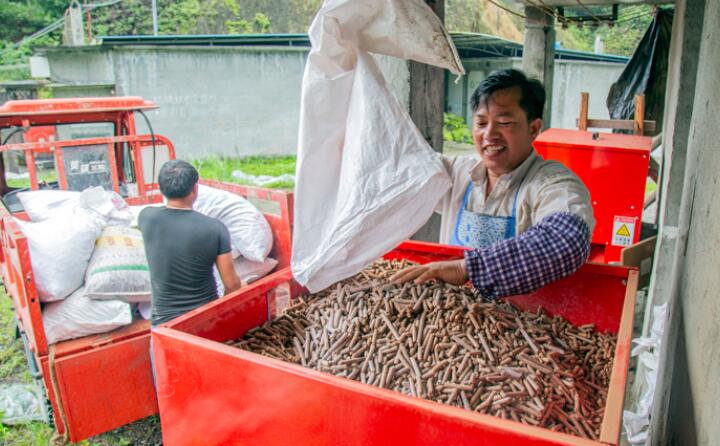 生物质颗；；；；；；庸さ纳镏士帕Ｈ剂