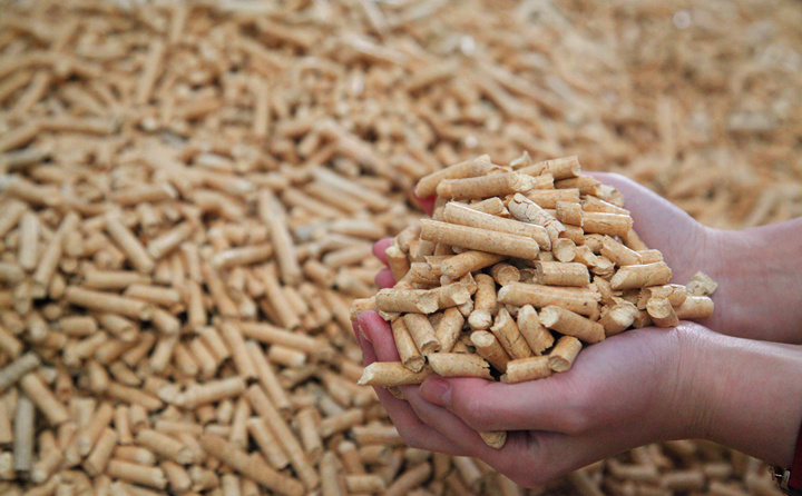 废木料破损后用生物质颗；；；；谱魃镏嗜剂峡帕