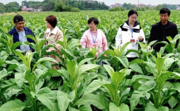 28圈注册网站(中国游)官方平台入口