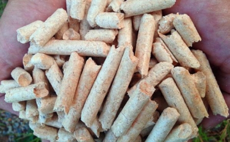 生物质颗粒燃料工业迎来大好机缘