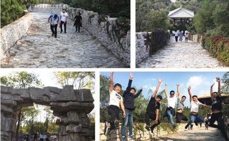 金秋十月，，，，，，，，丹桂飘香，，，，，，，，28圈注册网站拓展训练火热举行中