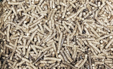 生物质颗；；；；；；目帕Ｈ剂暇眯б嬖跹？？？？？