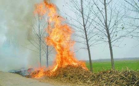 秸秆万万别烧了，，，，，，，，尚有这些用途！