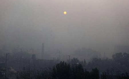 生物质颗粒；；阒赂灰槐壑