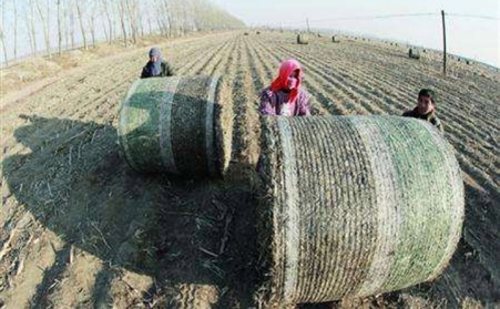 生物质颗粒；；氨复硬惶羰常
