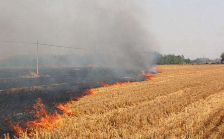 农作物后的秸秆不可烧，，，用了秸秆颗；；Ｐ阅鼙淝