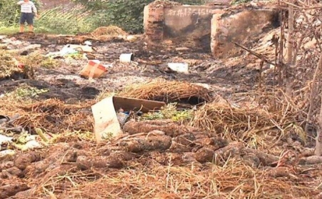 生物质颗；；；；；；；Ｐ阅苡杏媒饩鲂笄莘啾愕奈廴疚侍