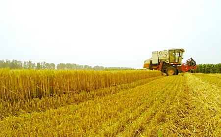 生长生物质颗；；；；；；；；，作用良多