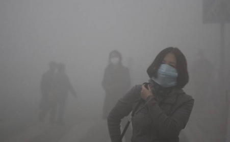 玉米秸秆颗；；；；；；；；跹菇崭驯洹胺衔铩？？？？