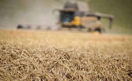 看这里！相识木屑颗；；；；；跹褂梅牌