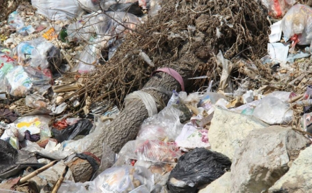 秸秆颗；；；；；；；纳ぴ旄Ｅ┟