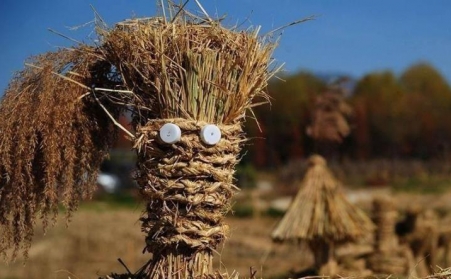 生物质燃料颗；；；；秃诺那鸺疤氐