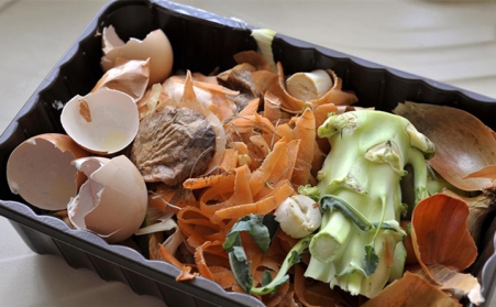 外国能源部科学家们正在将食物垃圾用生物质颗；；；；；；褰嗫稍偕娜剂