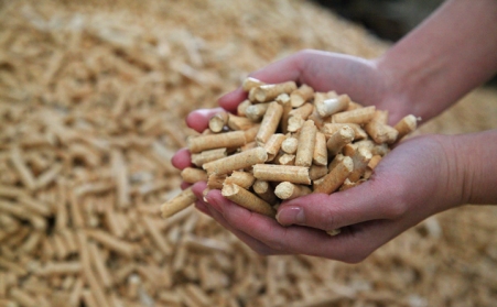 生物质燃料颗；；；；；；目帕Ｓ肫渌剂系谋日