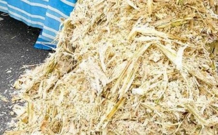 甘蔗渣想废物使用？？？？可以思量生物质颗；；；；