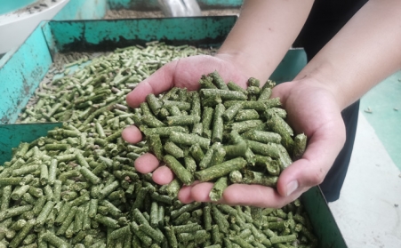 河北生物质颗；；；；；；；；庸さ目帕Ｎ裁椿岜浜？？？？？？？