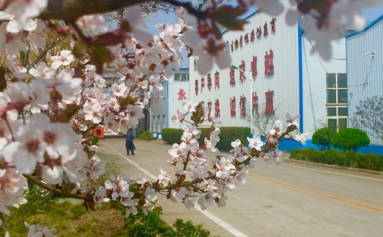 28圈注册网站四序