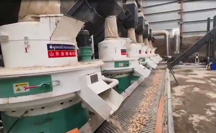 生物质颗；；；突殖